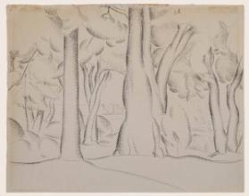 Photo Credit: Toni Hafkenscheid