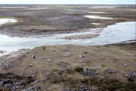 The Norman Hallendy Collection
Gift of Norman Hallendy, 2009
McMichael Canadian Art Collectio…