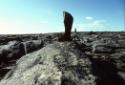 Shaman's initiation site with various inuksuk-like figures. 
Pilliq, Central Baffin Island, Nu…