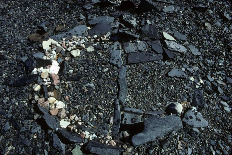 The Norman Hallendy Collection
Gift of Norman Hallendy, 2009
McMichael Canadian Art Collectio…