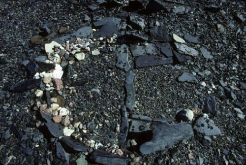 The Norman Hallendy Collection
Gift of Norman Hallendy, 2009
McMichael Canadian Art Collectio…