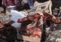 Feasting at Kinngait (Cape Dorset).
Southwest Baffin Island, Nunavut, 1989

The Norman Halle…
